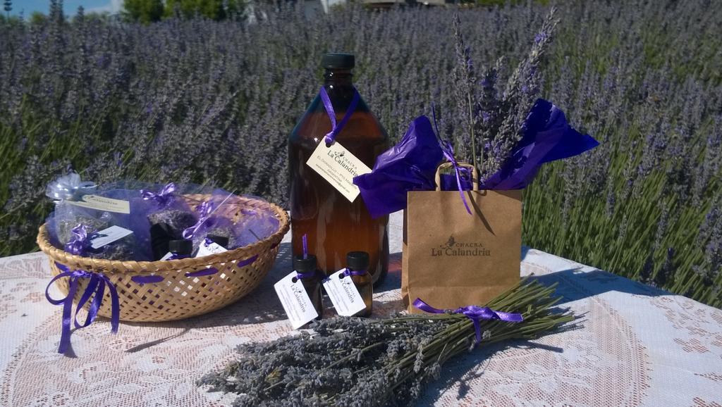 La Calandria Casa De Campo Βίλα Πουέρτο Μαντρίν Εξωτερικό φωτογραφία