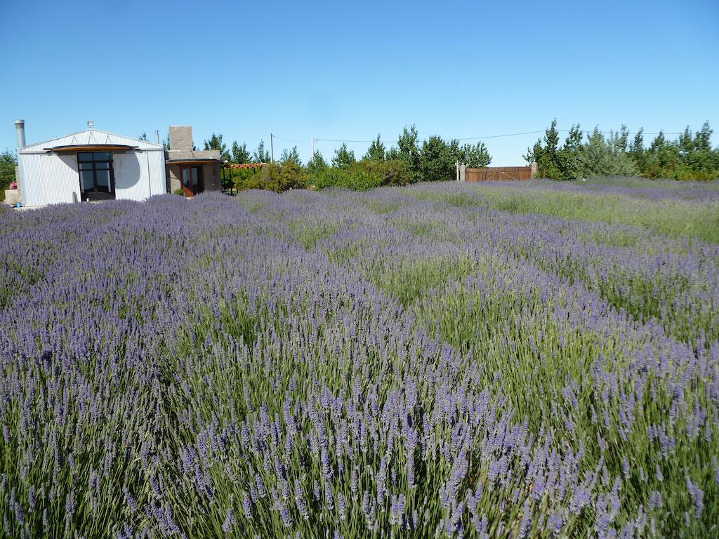 La Calandria Casa De Campo Βίλα Πουέρτο Μαντρίν Εξωτερικό φωτογραφία