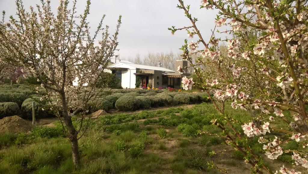 La Calandria Casa De Campo Βίλα Πουέρτο Μαντρίν Εξωτερικό φωτογραφία