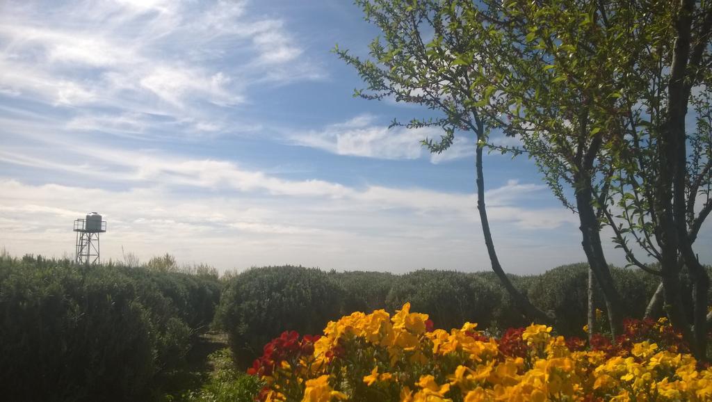 La Calandria Casa De Campo Βίλα Πουέρτο Μαντρίν Εξωτερικό φωτογραφία