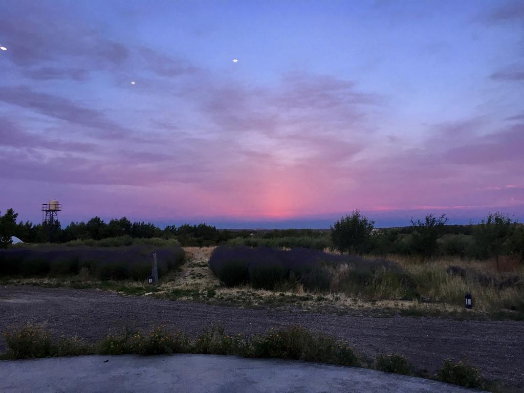 La Calandria Casa De Campo Βίλα Πουέρτο Μαντρίν Εξωτερικό φωτογραφία
